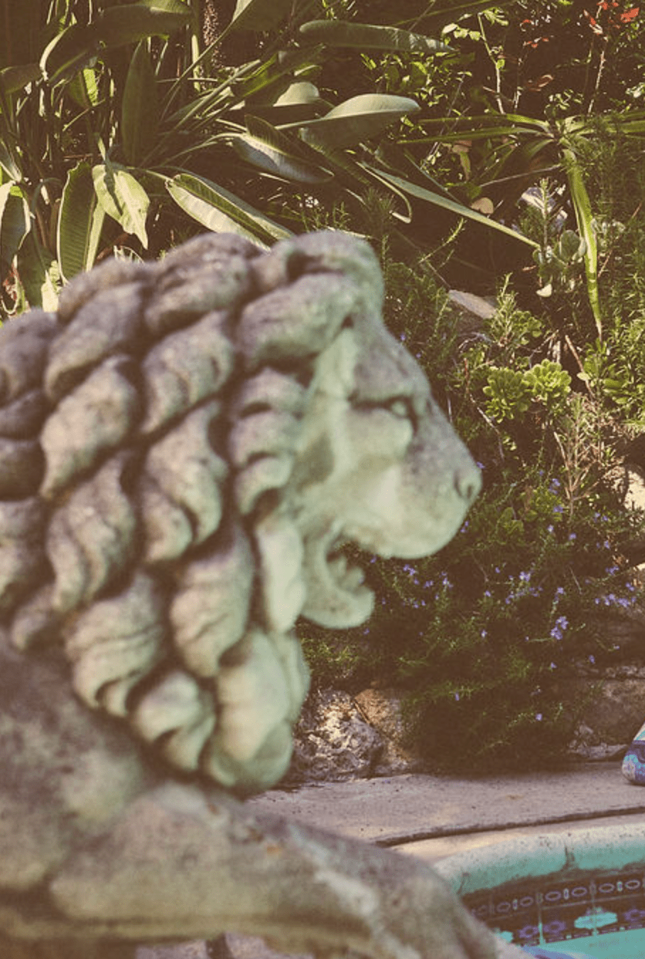 St. Barts Collection - ROYAL PALMS love & legacy